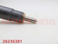 Delphi Genuine Common Rail Injector 28236381 for HYUNDAI Starex 33800-4A700