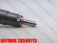 High Quality Common Rail Fuel Injector 28599713 1100100XED95 1100100X-ED95