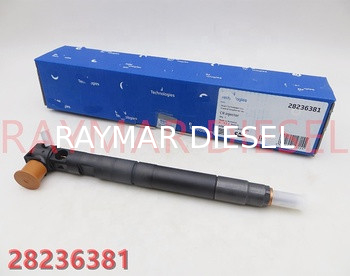 Delphi Genuine Common Rail Injector 28236381 for HYUNDAI Starex 33800-4A700
