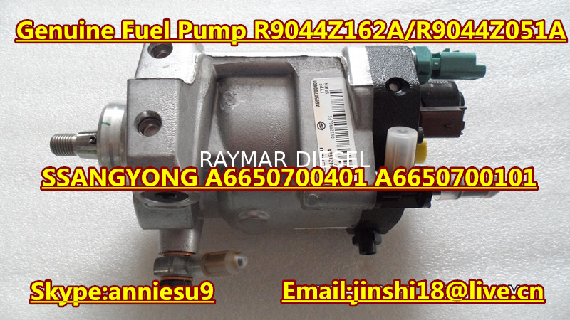 Delphi Genuine Common Rail Pump R9044Z162A R9044Z051A for SSANGYONG A6650700401 A665070010